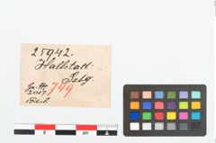 Etikett zu Bronzeschlangenfibel (NHMW-PRAE-025942)